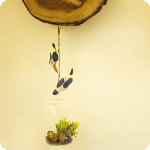 Peppy Pops - Kingfisher (A Pair) -Plant Life Decor Shop cc pp kf 6