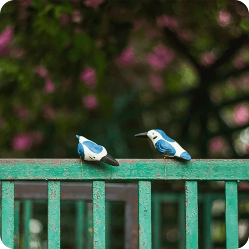 Peppy Pops - Kingfisher (A Pair) -Plant Life Decor Shop cc pp kf 7