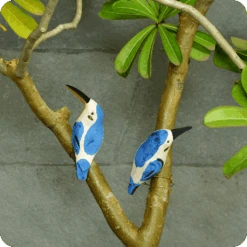 Peppy Pops - Kingfisher (A Pair) -Plant Life Decor Shop cc pp kf 9