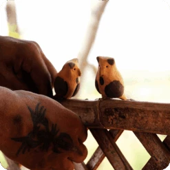 Peppy Pops - Owl (A Pair) -Plant Life Decor Shop cc pp ow 11