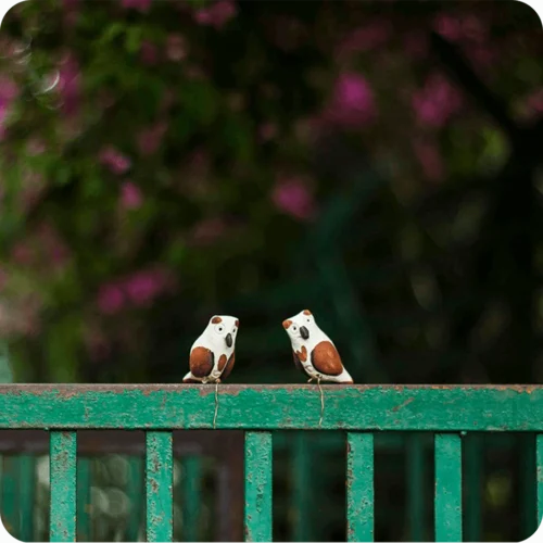 Peppy Pops - Owl (A Pair) -Plant Life Decor Shop cc pp ow 4