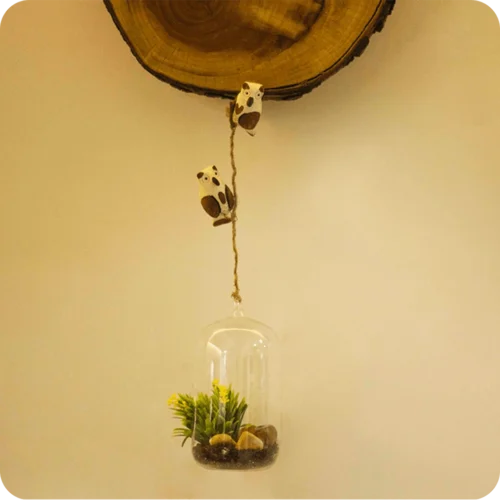 Peppy Pops - Owl (A Pair) -Plant Life Decor Shop cc pp ow 5