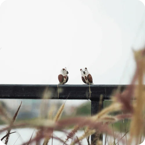 Peppy Pops - Owl (A Pair) -Plant Life Decor Shop cc pp ow 6