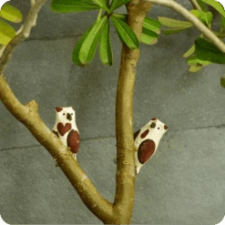 Peppy Pops - Owl (A Pair) -Plant Life Decor Shop cc pp ow 9