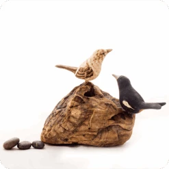 Exotic Indian Robin Stone Base Table Tops