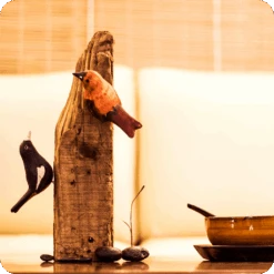 Exotic Indian Robin Wooden Base Table Tops -Plant Life Decor Shop cc tt ir 10