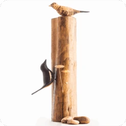 Exotic Indian Robin Wooden Base Table Tops