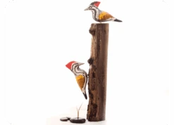 Exotic Woodpecker Wooden Base Table Tops