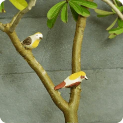 Peppy Pops - Baya Weaver (A Pair) -Plant Life Decor Shop cc445a 1