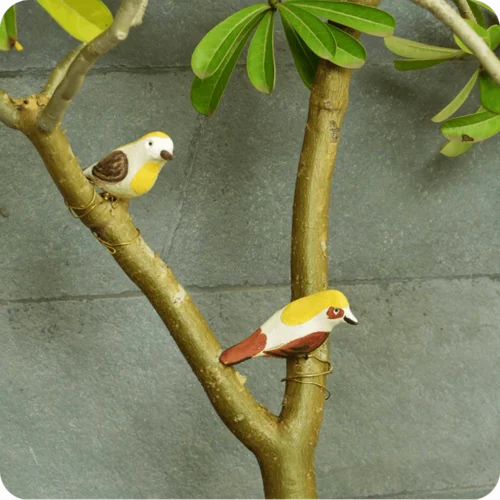 Peppy Pops - Baya Weaver (A Pair) -Plant Life Decor Shop cc445a 1