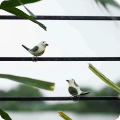 Peppy Pops - Tailorbird (A Pair) -Plant Life Decor Shop cc9a58 1