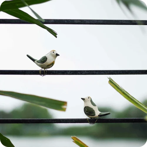 Peppy Pops - Tailorbird (A Pair) -Plant Life Decor Shop cc9a58 1