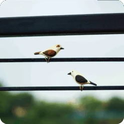 Peppy Pops - Baya Weaver (A Pair) -Plant Life Decor Shop cca8e1 1