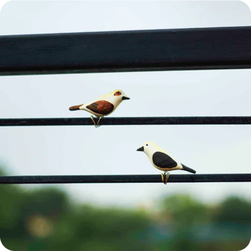 Peppy Pops - Baya Weaver (A Pair) -Plant Life Decor Shop cca8e1 1