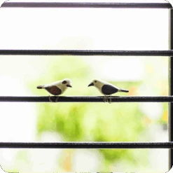 Peppy Pops - Baya Weaver (A Pair) -Plant Life Decor Shop ccc35a 1