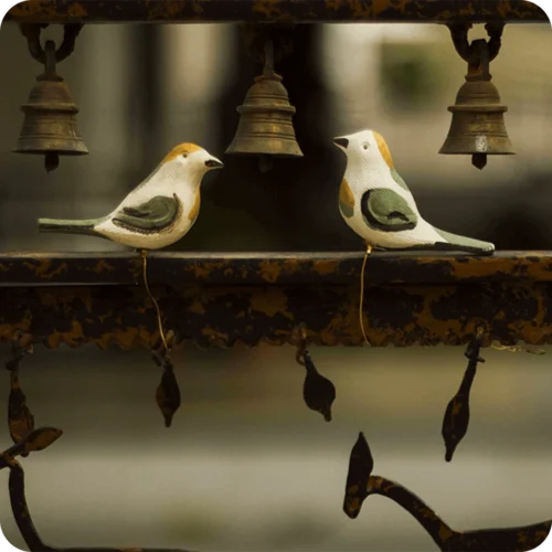 Peppy Pops - Tailorbird (A Pair) -Plant Life Decor Shop cccadb 1