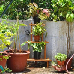 DIY- Corner Plant Stand -Plant Life Decor Shop corner stand terrace