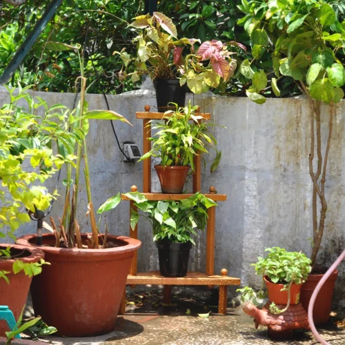 DIY- Corner Plant Stand -Plant Life Decor Shop corner stand terrace