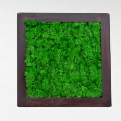 Dark Green Preserved Moss Frame With Dark Wood