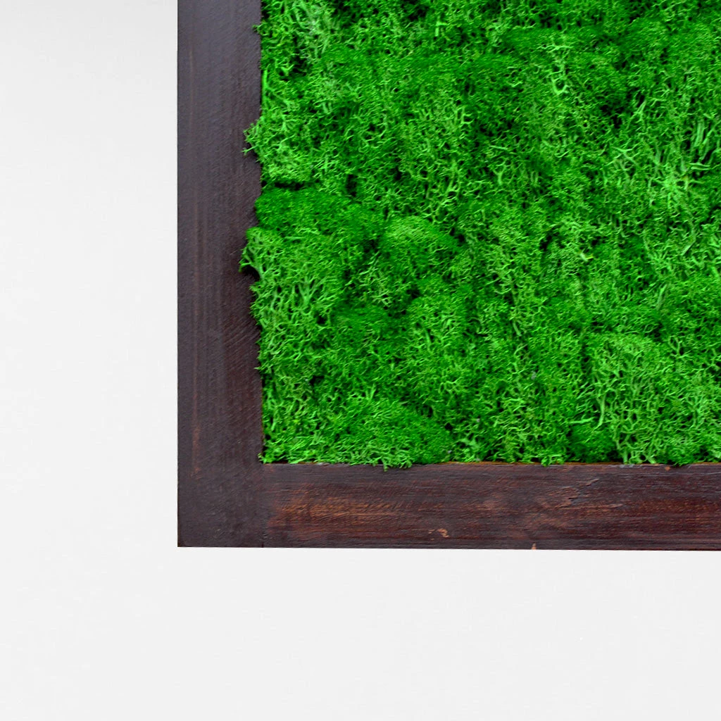 Dark Green Preserved Moss Frame With Dark Wood 2 Dark Green Preserved Moss Frame With Dark Wood - Image 2
