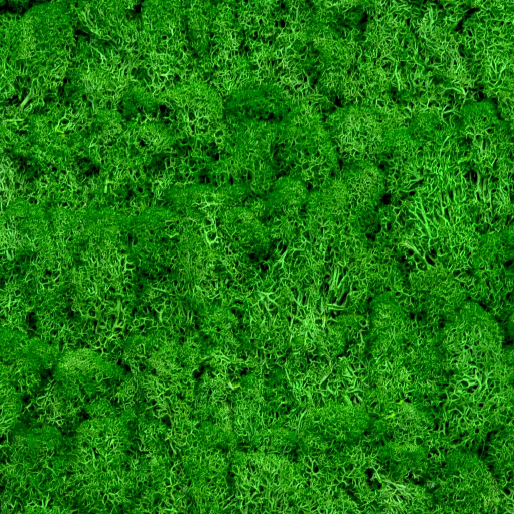 Dark Green Preserved Moss Frame With Dark Wood 3 Dark Green Preserved Moss Frame With Dark Wood - Image 3