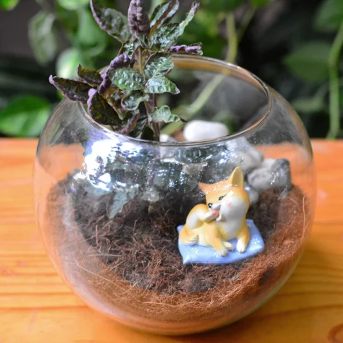 Miniature Dog On Cushion – Adorable Resin Decor For Fairy Gardens & Gifts -Plant Life Decor Shop dog on cushion 2