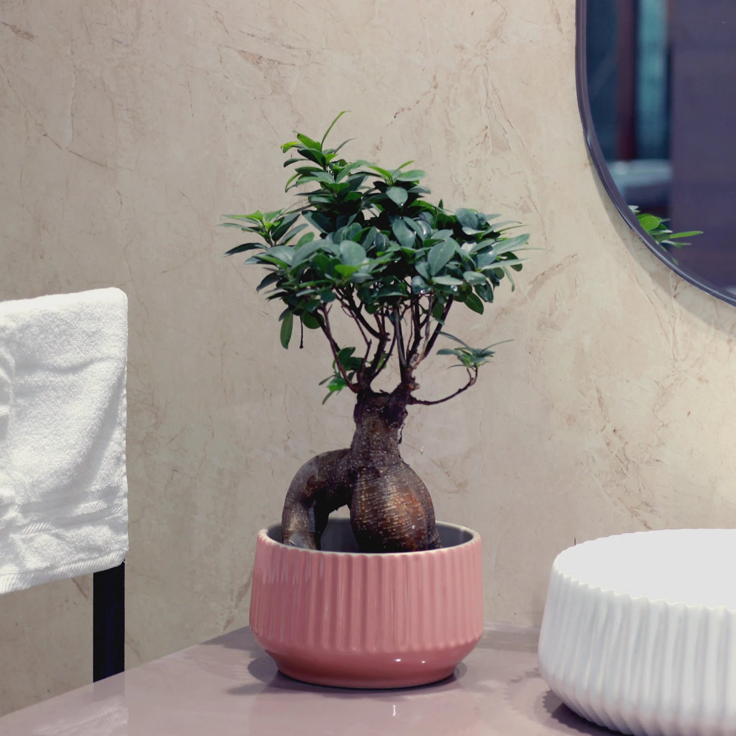 Meira Ceramic Planter 2 Meira Ceramic Planter - Image 2