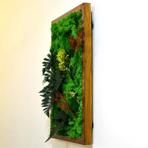 Fern Frenzy Preserved Moss Frame With Dark Wood -Plant Life Decor Shop fern frenzy 2