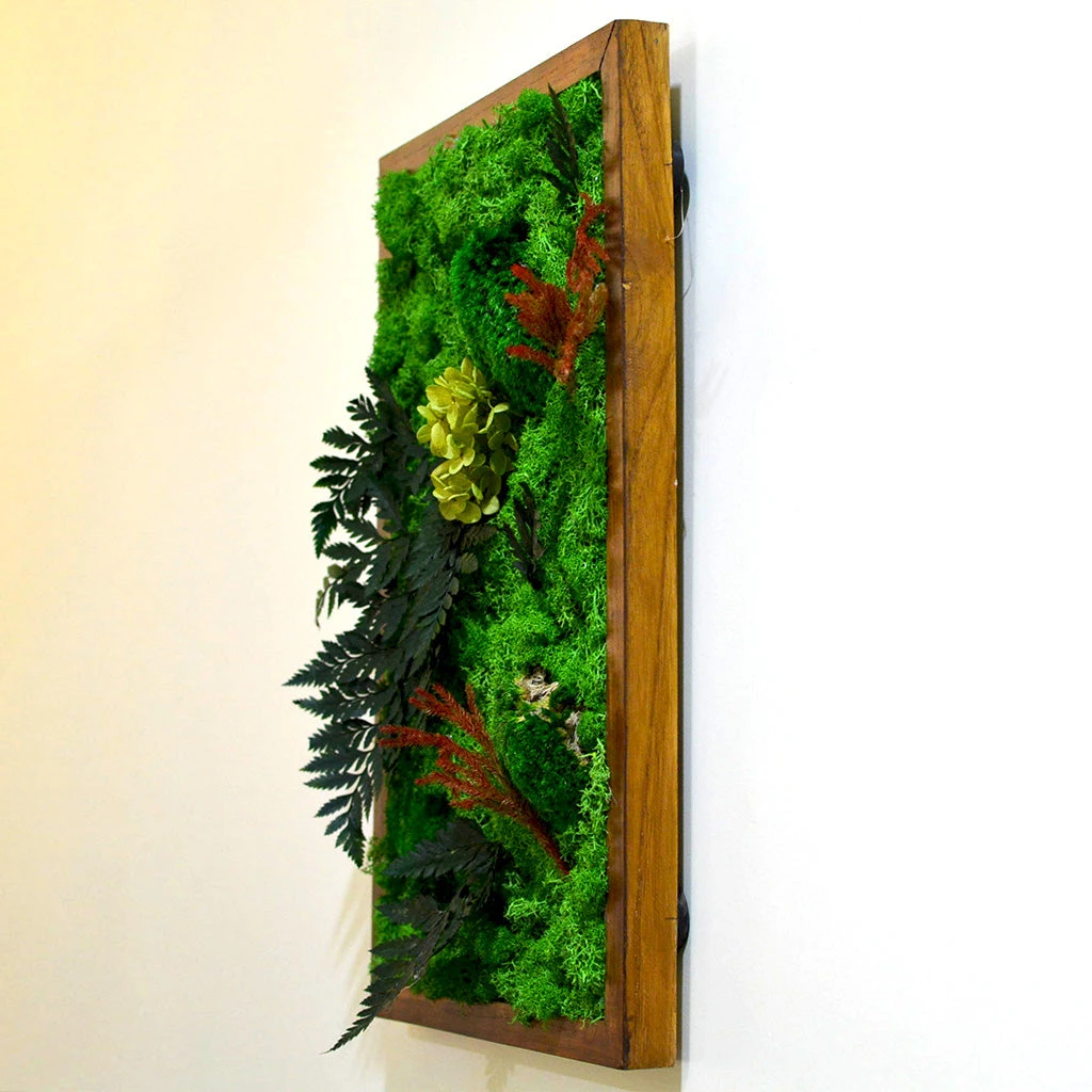 Fern Frenzy Preserved Moss Frame With Dark Wood 3 Fern Frenzy Preserved Moss Frame With Dark Wood - Image 3