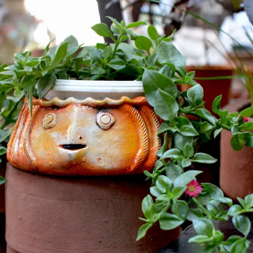 Terracotta Fish Planter