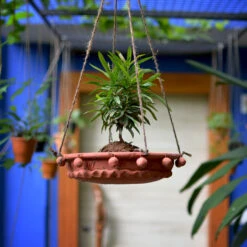 Flat Hanging Terracotta Birdfeeder Planter