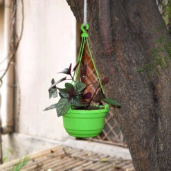 Set Of 6 Multicolor Plastic Hanging Pots -Plant Life Decor Shop greenpot 281fefc0 3d52 4344 ae64 3e2622ae4601