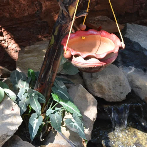 Terracotta Bowl Planter -Plant Life Decor Shop hanging3