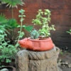 Terracotta Kangaroo Planter