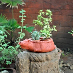 Terracotta Kangaroo Planter