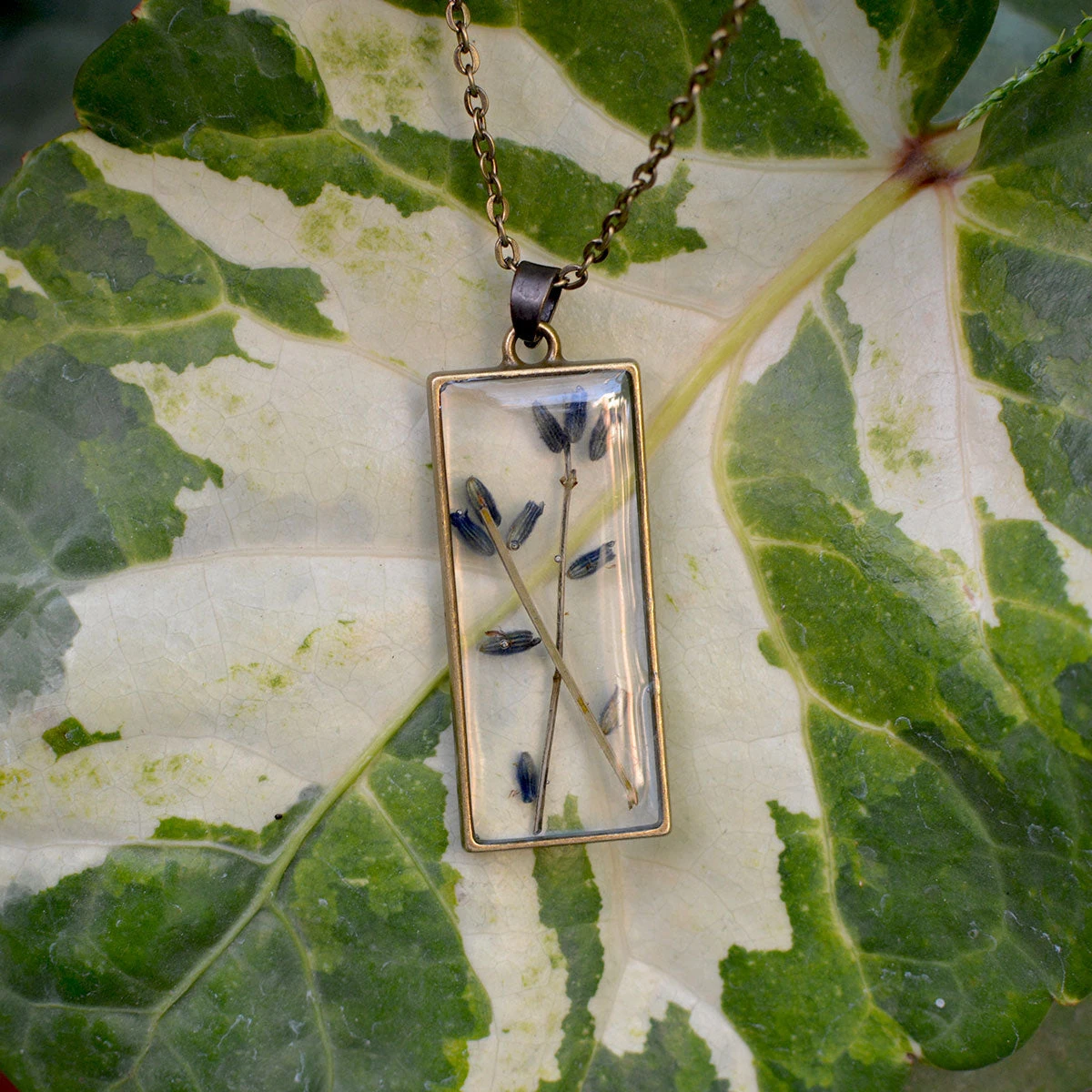 Lavender Sprig Real Dried Flower Necklace 1 Lavender Sprig Real Dried Flower Necklace