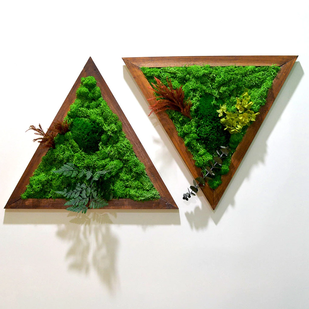 Like A Diamond Preserved Moss Frame With Dark Wood 2 Like A Diamond Preserved Moss Frame With Dark Wood - Image 2