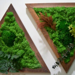 Like A Diamond Preserved Moss Frame With Dark Wood 7 Like A Diamond Preserved Moss Frame With Dark Wood -Plant Life Decor Shop like a diamond 3