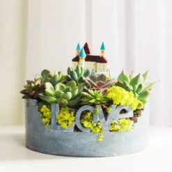 Love For Nature Resin Succulent Pot