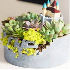 Love For Nature Resin Succulent Pot -Plant Life Decor Shop love for nature resinpot 3