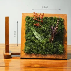 Moment Of Stillness Tabletop Preserved Moss Frame With Stand -Plant Life Decor Shop moment of stilness 3