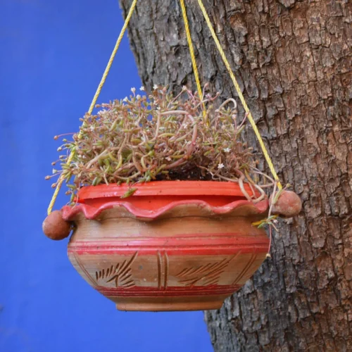 Terracotta Bowl Planter