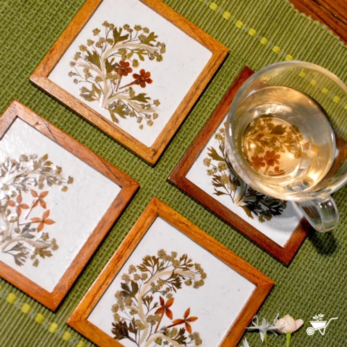 Pastel Blooms Dried Flower Coaster 7 Pastel Blooms Dried Flower Coaster -Plant Life Decor Shop pastel blooms 2