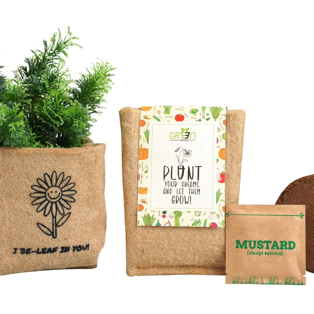 DIY Plant Grow Kit 1 DIY Plant Grow Kit