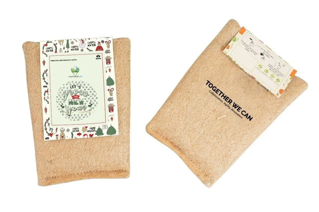 DIY Plant Grow Kit 2 DIY Plant Grow Kit - Image 2