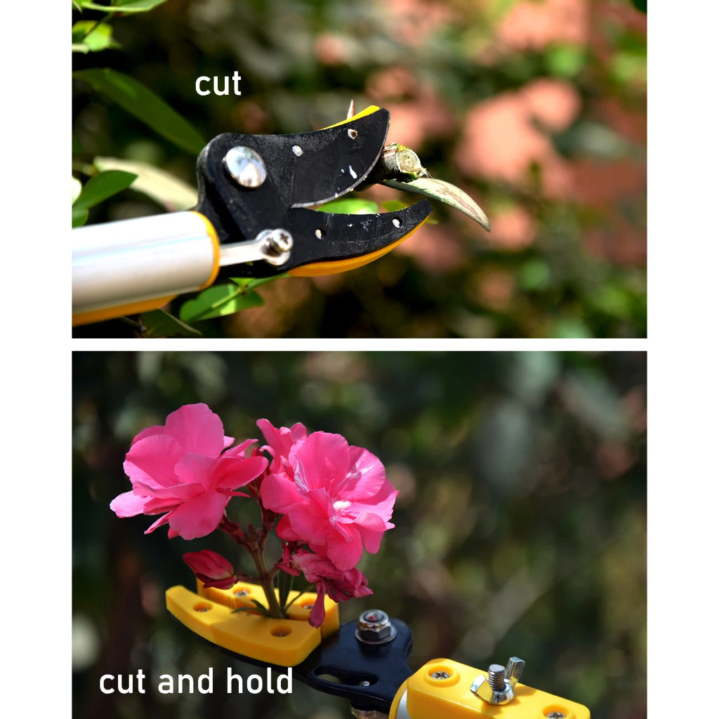 Hectare Telescopic Long Reach Cut And Hold Pruner And Fruit Picker With Saw 4 Hectare Telescopic Long Reach Cut And Hold Pruner And Fruit Picker With Saw - Image 4