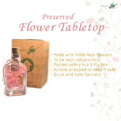 Punky Pinks Preserved Flower Tabletop -Plant Life Decor Shop punkypinks 11