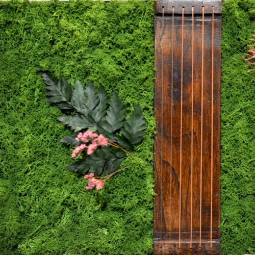 Sound Of Music Preserved Moss Frame With White Wood -Plant Life Decor Shop soundofmusic whiteframe 3