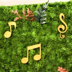 Sound Of Music Preserved Moss Frame With White Wood -Plant Life Decor Shop soundofmusic whiteframe 5