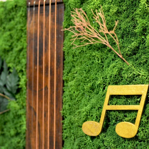 Sound Of Music Preserved Moss Frame With White Wood -Plant Life Decor Shop soundofmusic whiteframe 6